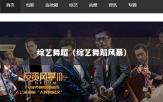 综艺舞蹈（综艺舞蹈风暴）