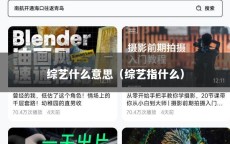 综艺什么意思（综艺指什么）