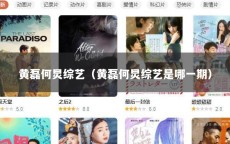 黄磊何炅综艺（黄磊何炅综艺是哪一期）