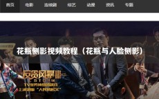 花瓶侧影视频教程（花瓶与人脸侧影）