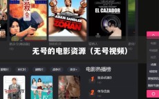 无号的电影资源（无号视频）