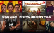 综影视火凤凰（综影视火凤凰原创女主风筝）