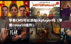 苹果CMS可以添加ckplayer吗（苹果cmsv10插件）