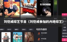 刘恺威综艺节目（刘恺威参加的内地综艺）