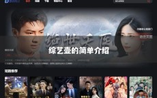 综艺壶的简单介绍