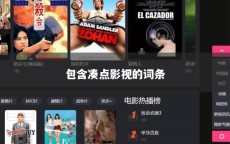 包含凑点影视的词条