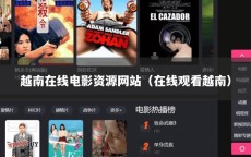 越南在线电影资源网站（在线观看越南）