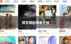 综艺碗的简单介绍