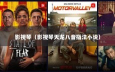 影视琴（影视琴天龙八音指法小说）