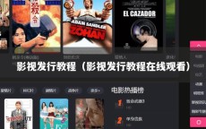 影视发行教程（影视发行教程在线观看）